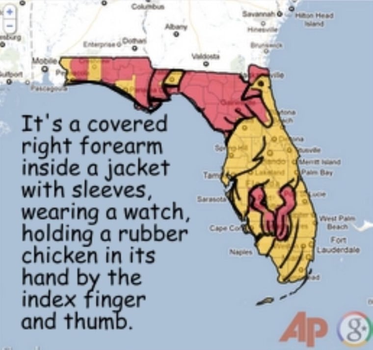 MaddowBlog readers' psyches exposed! Florida Rorschach results!