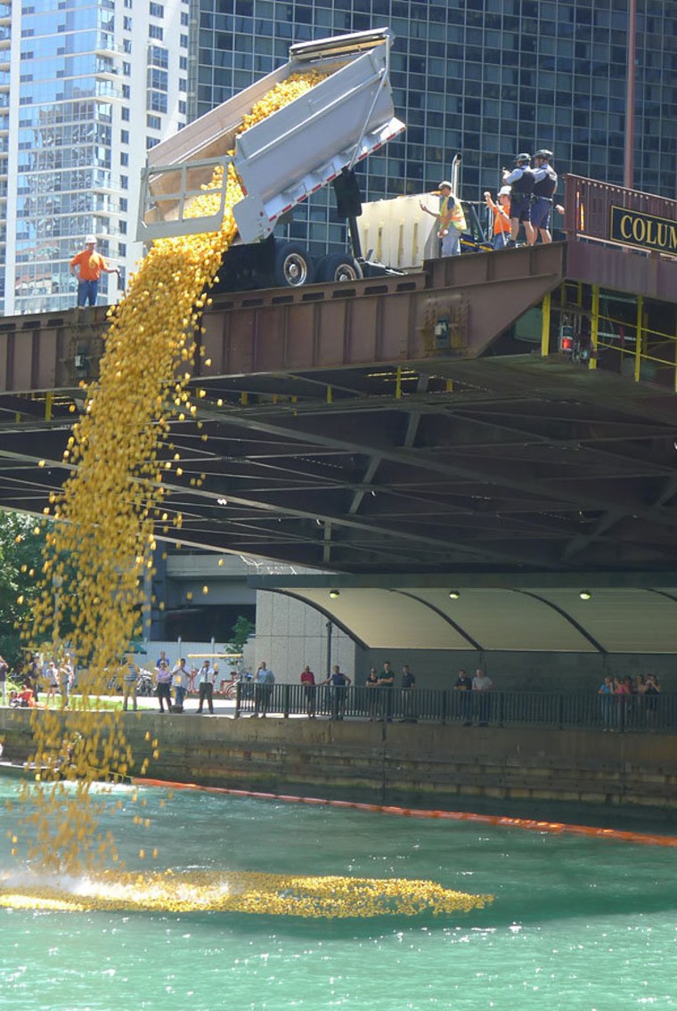 Thousands of rubber ducks are dumped into the Chicago River as part of the annual Windy City Rubber Ducky Derby.