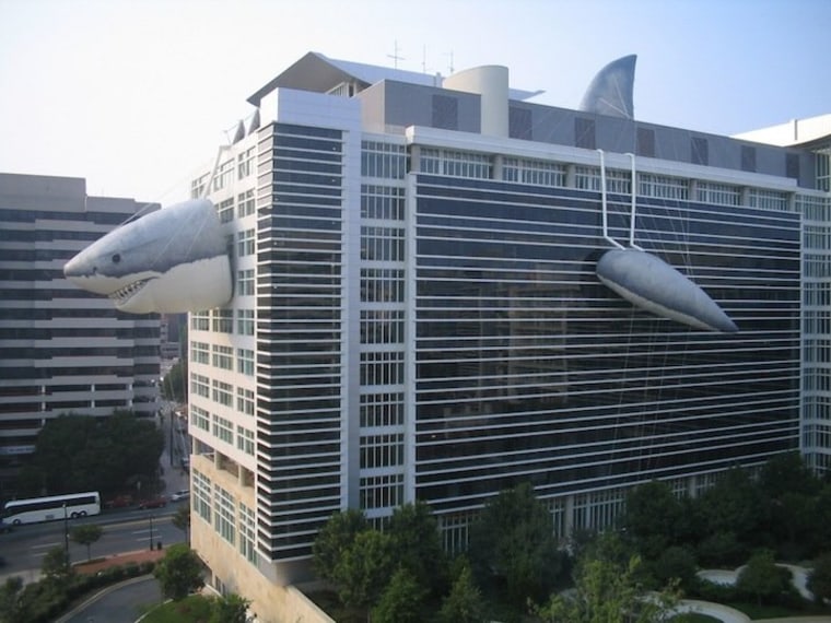The Discovery Channel building during Shark Week