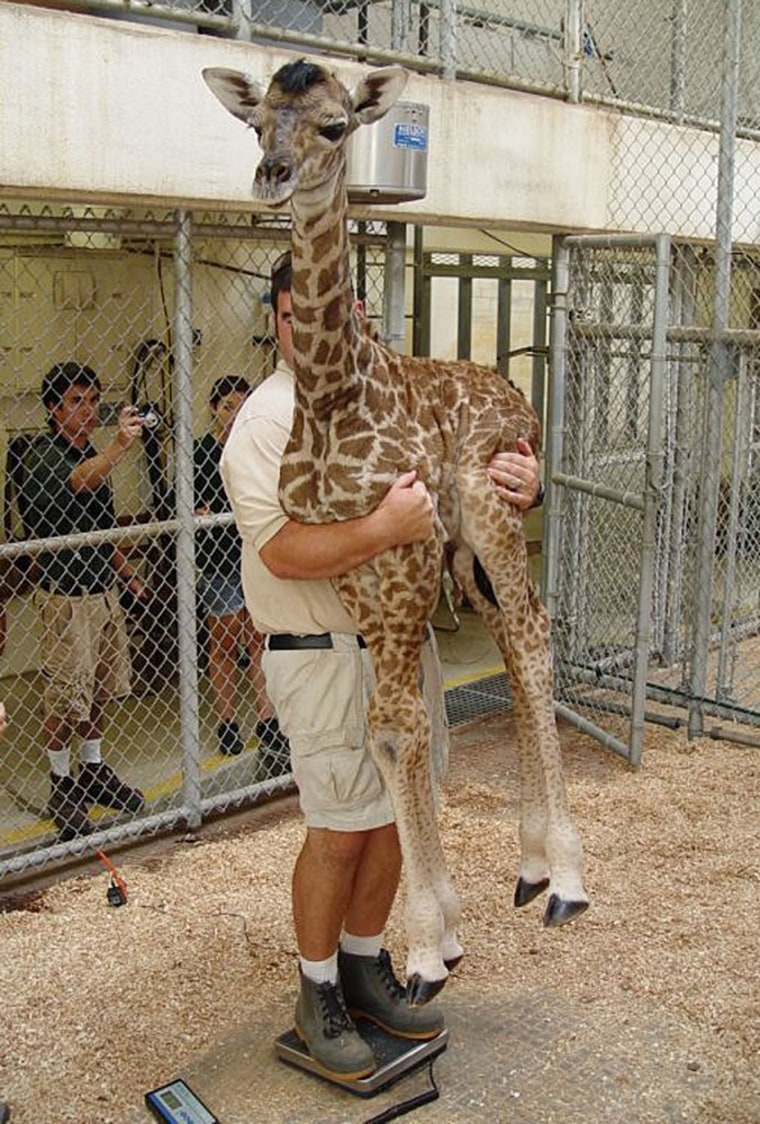 I think it's measuring the hug...