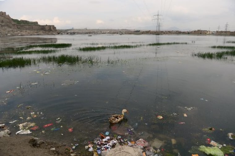 A duck swims among trash thrown into a dam in Kabul during World Earth Day on April 22, 2013. (Photo By: Massoud Hossaini/AFP Photo)