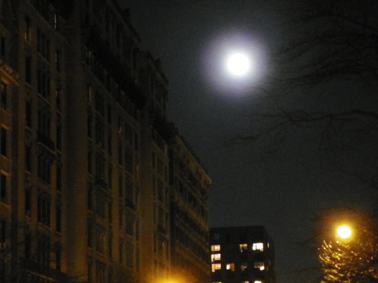 Between the Moon and New York City 3