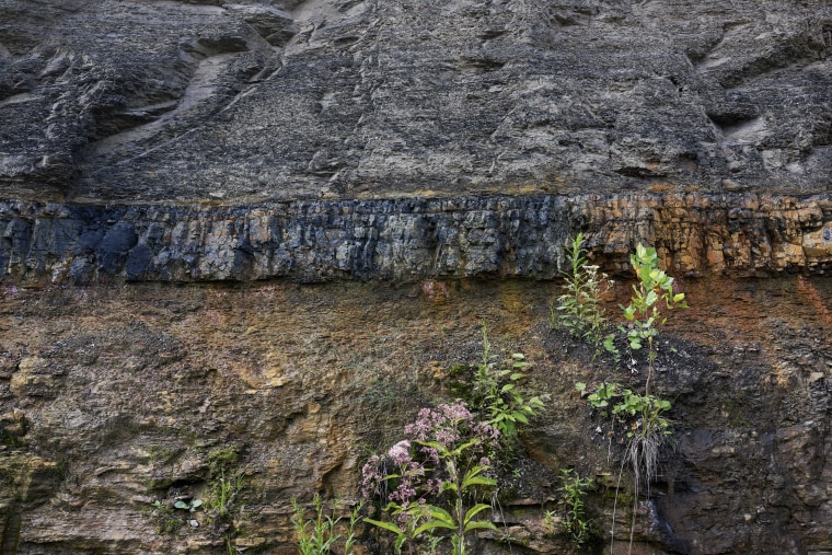 A belt of coal on a mountainside in Harlan, KY.