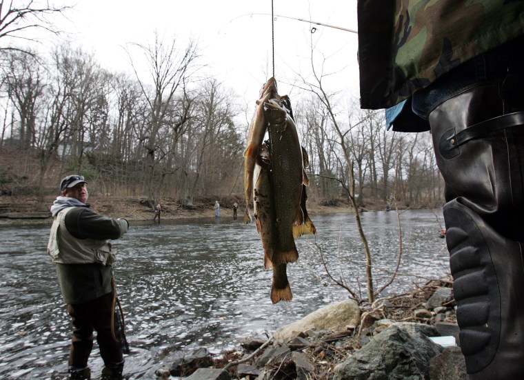 A fisherman looks back at another's catch as he stands in the Ramapo River, Saturday April 7, 2007, in Oakland, N.J.