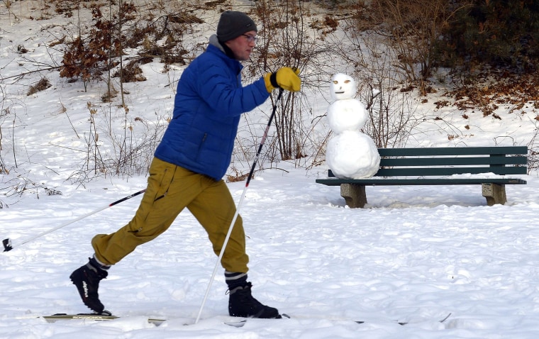 A man skis past a snowman on a bench in High Park in Toronto, January 7, 2014.