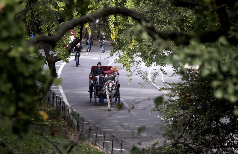 A horse drawn carriage is seen going through Central Park in New York