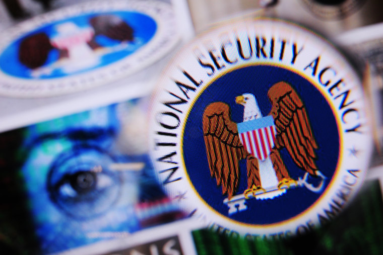 The logo of the US National Security Agency is pictured on a monitor.