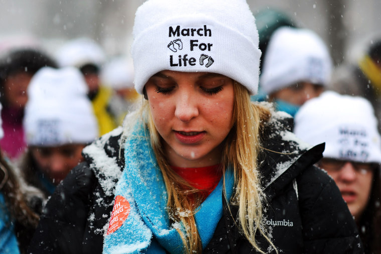 Pro-life activists protest in front of the White House, Jan. 21, 2014.