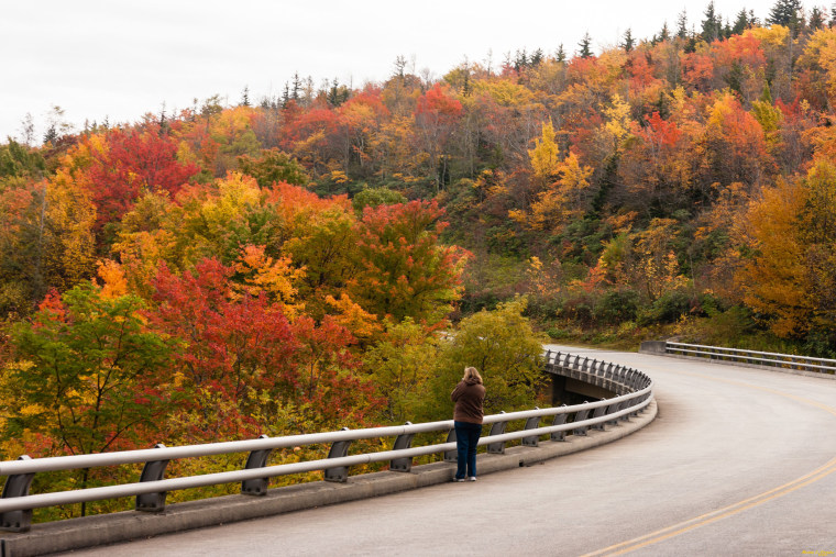 In this Oct. 17, 2013 photo provided by Grandfather Mountain a woman stops to take a photo of the fall foliage along the bridge over Green Mountain Creek on the Blue Ridge Parkway near Grandfather Mountain in Linville, N.C.