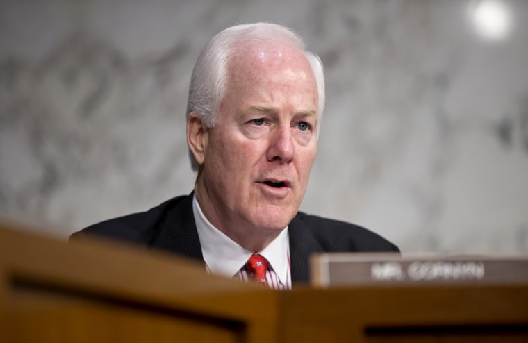 Sen. John Cornyn, R-Texas, speaks during an event, July 31, 2013 on Capitol Hill in Washington.