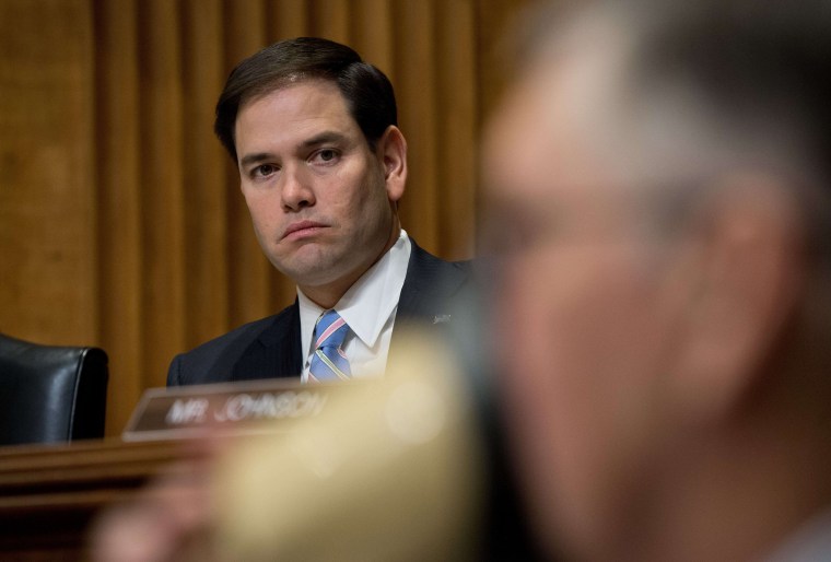Republican Senator from Florida Marco Rubio on Capitol Hill in Washington,D.C. on January 28, 2014.