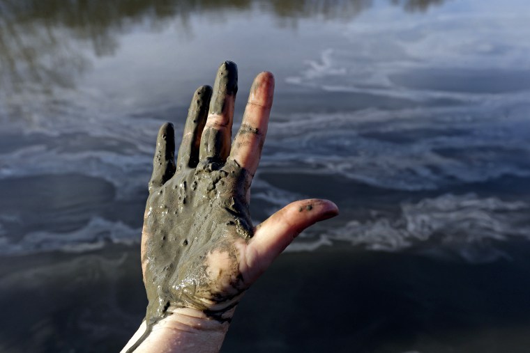 Wet coal ash from the Dan River