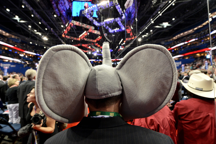 A Republican delegate wears an elephant hat during the Republican National Convention at the Tampa Bay Times Forum in Tampa, Fla. on Aug. 28, 2012.
