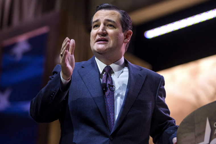 Senator Ted Cruz (R-TX) speaks at the Conservative Political Action Conference (CPAC) in National Harbor, Md. on March 6, 2014.