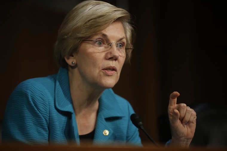 Sen. Elizabeth Warren, D-Mass., speaks during a hearing on Capitol Hill in Washington, D.C., June 25, 2014.