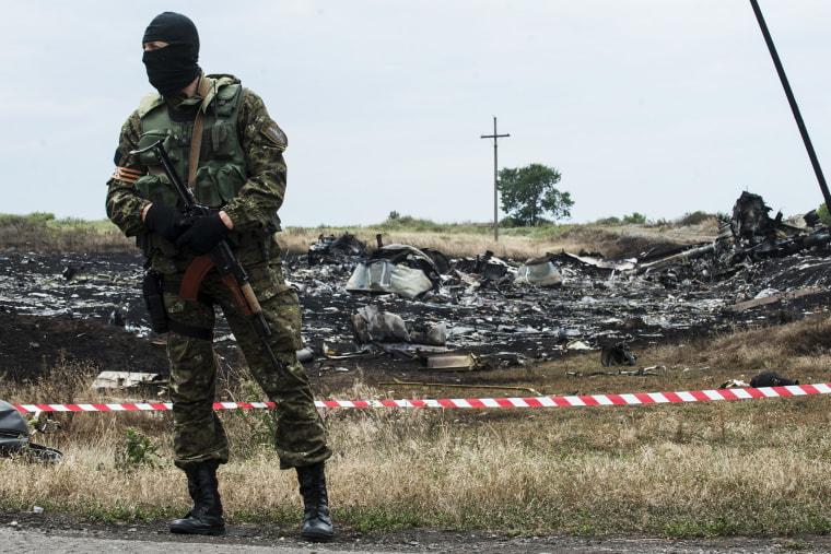 A pro-Russian fighter guards the crash site of a Malaysia Airlines jet near the village of Hrabove, eastern Ukraine, July 19, 2014.