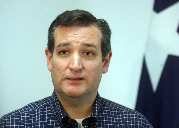 Sen. Ted Cruz, R-Texas, speaks to the local media, July 19, 2014, in McAllen, Texas.
