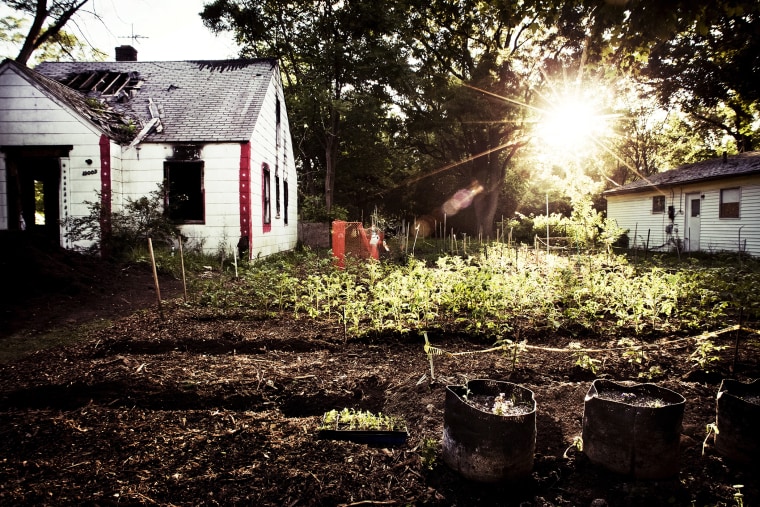 The nonprofit Greening of Detroit estimated in 2013 that between 1,500 and 2,000 urban gardens were being maintained within the city limits.