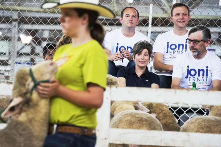 Joni Ernst, Iowa Republican Senate candidate, attends a sheep judging at the 2014 Iowa State Fair in Des Moines, August 8, 2014.