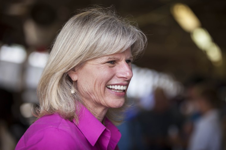 Wisconsin democratic gubernatorial candidate Mary Burke at the Rock County 4-H Fair Thursday July 24, 2014, in Janesville, Wis.