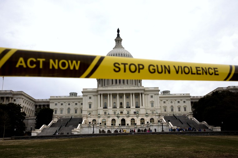 Gun control activists demonstrate outside of the Capitol in Washington D.C., March 11, 2014.