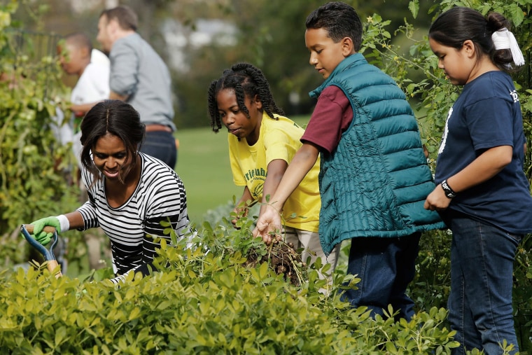 U.S. First Lady Michelle Obama (L) harvests peanuts and other produce from the White House kitchen garden with schoolchildren in Washington on Oct. 14, 2014.