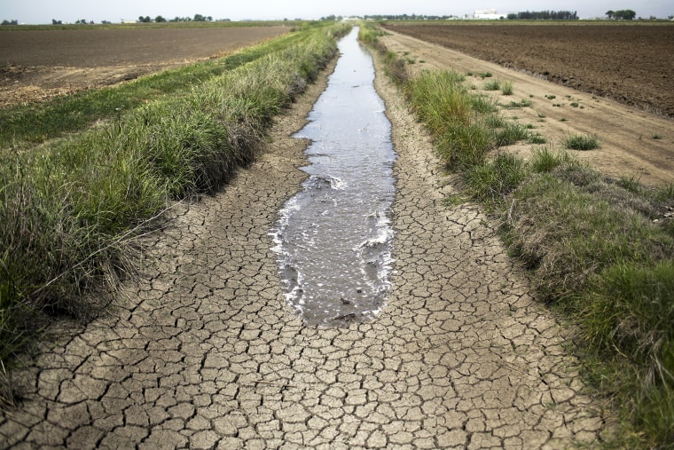This May 1, 2014, file photo shows irrigation water runs along a dried-up ditch between rice farms in Richvale, Calif. (Photo by Jae C. Hong/AP)
