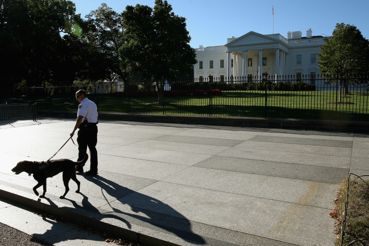 A member of the US Secret Service and his service dog patrol the sidewalk in front of the White House, Sept. 22, 2014 in Washington, D.C. (Photo by Mark Wilson/Getty)