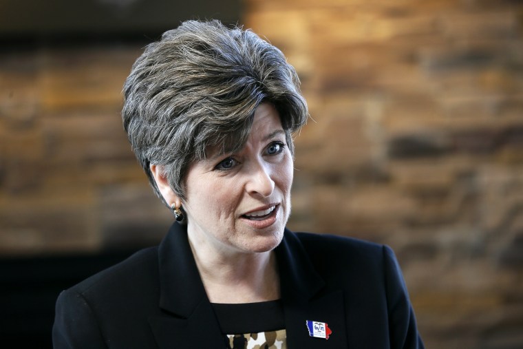 Iowa Republican Senatorial candidate Joni Ernst speaks during a meeting with supporters, May 21, 2014, in Waukee, Iowa. (Photo by Charlie Neibergall/AP)
