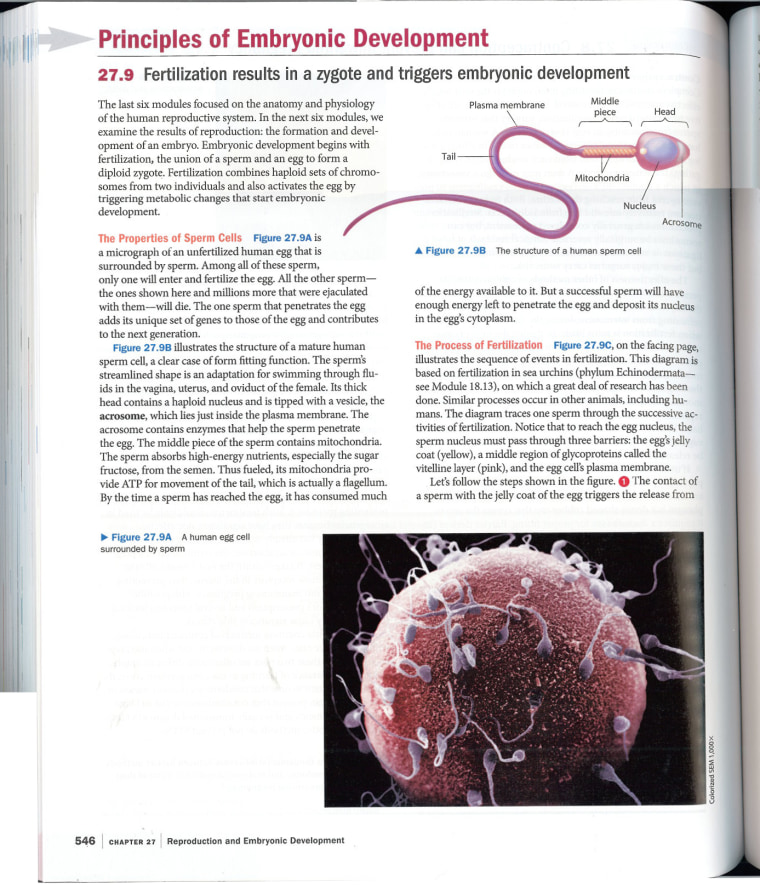 From Campbell Biology, Concepts & Connections, seventh edition; By Jane B. Reece, Martha R. Taylor, Eric J. Simon, Jean L. Dickey, and Neil A. Campbell; Pearson Benjamin Cummings, 2012; p. 546