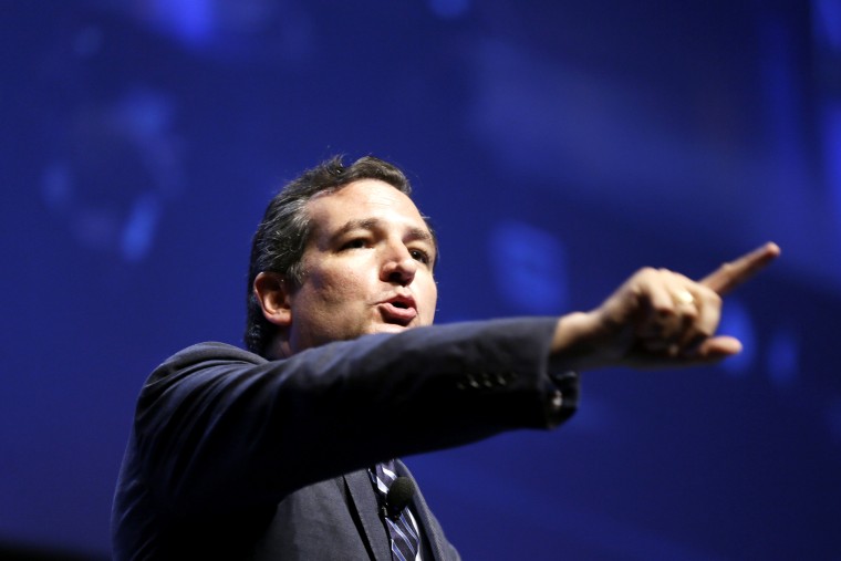 U.S. Sen. Ted Cruz, R-Texas, speaks during an event, Aug. 9, 2014, in Ames, Iowa. (Photo by Charlie Neibergall/AP)