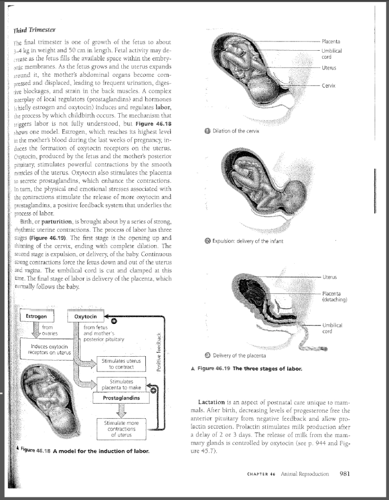 Campbell's AP Biology, 7th Edition, p. 981