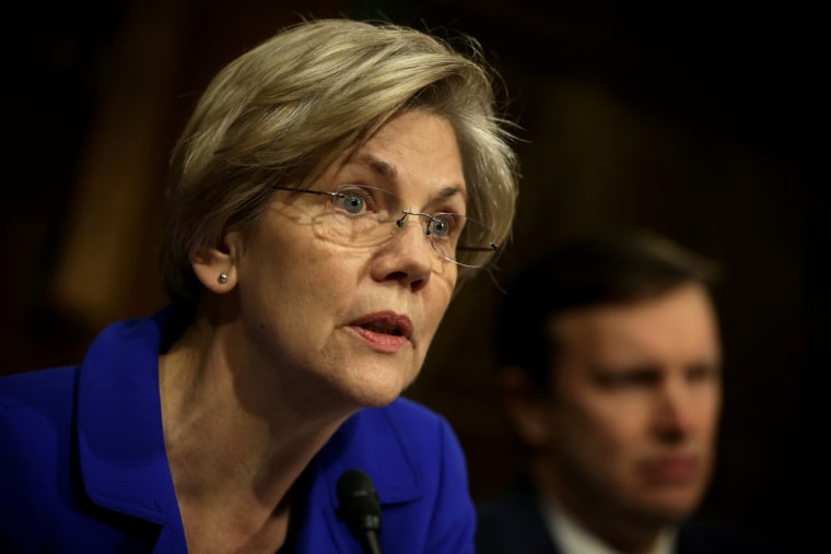 US Sen. Elizabeth Warren speaks during a hearing before Senate Health, Education, Labor and Pensions Committee Feb. 10, 2015 on Capitol Hill in Washington, DC. (Photo by Alex Wong/Getty)