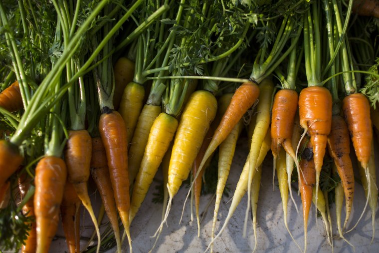 Freshly picked organically grown carrots Oct. 5, 2012 at the Moon in the Pond farm in Sheffield, Mass.