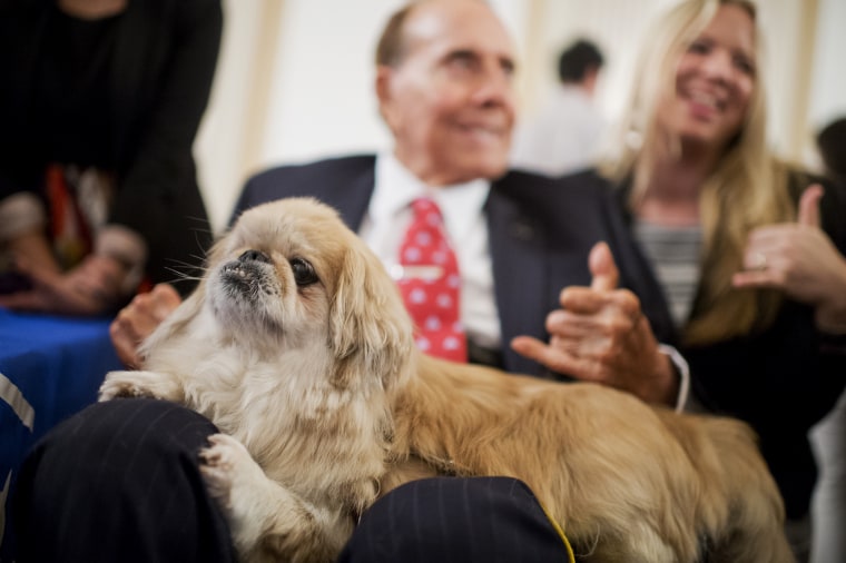 Former Sen. Bob Dole, R-Kan., pets \"Milo\" during the ASPCA's Fourth Annual Paws for Celebration pet adoption event in Cannon Building, July 30, 2015. (Photo By Tom Williams/CQ Roll Call/Getty)