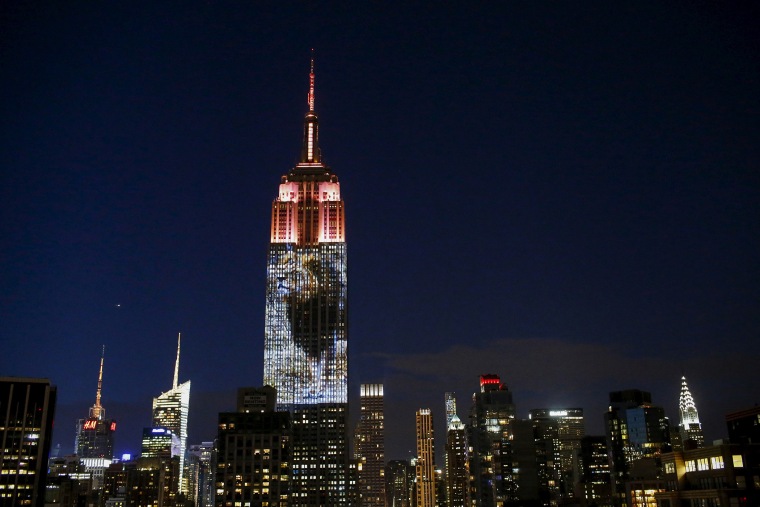 An image of Cecil the lion is projected onto the Empire State Building as part of an endangered species projection to raise awareness, in New York, Aug. 1, 2015. (Photo by Eduardo Munoz/Reuters)
