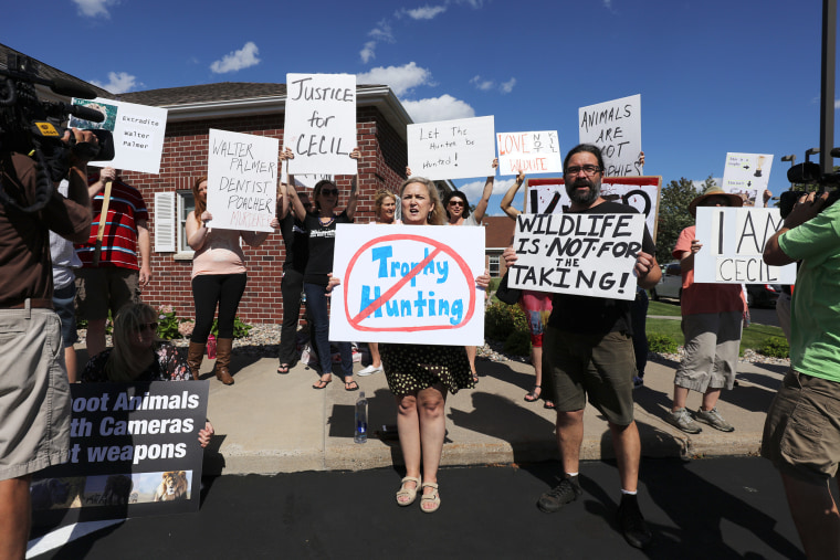 Protesters call attention to the alleged poaching of Cecil the lion in the parking lot of Dr. Walter Palmer's River Bluff Dental Clinic on July 29, 2015 in Bloomington, Minn. (Photo by Adam Bettcher/Getty)