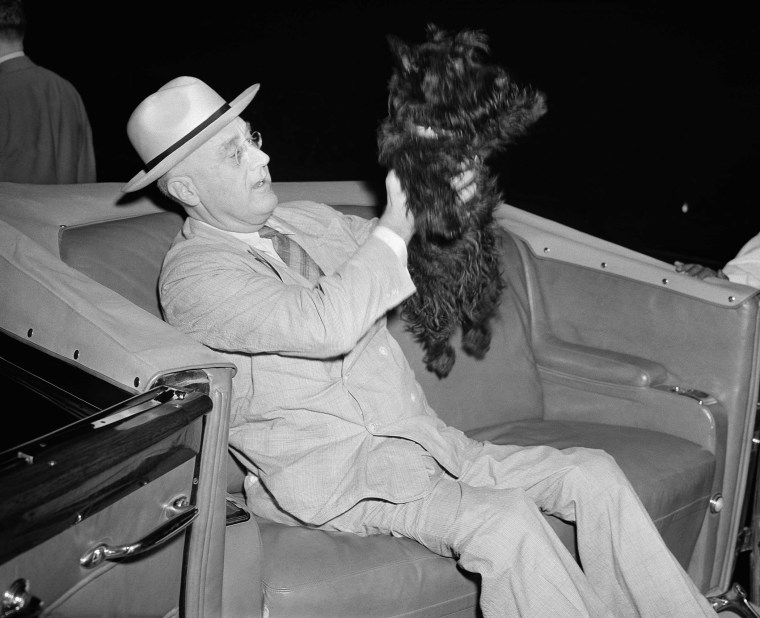 President Franklin D. Roosevelt lifts his dog Fala as he prepares to motor from his special train to the Yacht Potomac at New London, Conn., Aug. 3, 1941. (Photo by AP)
