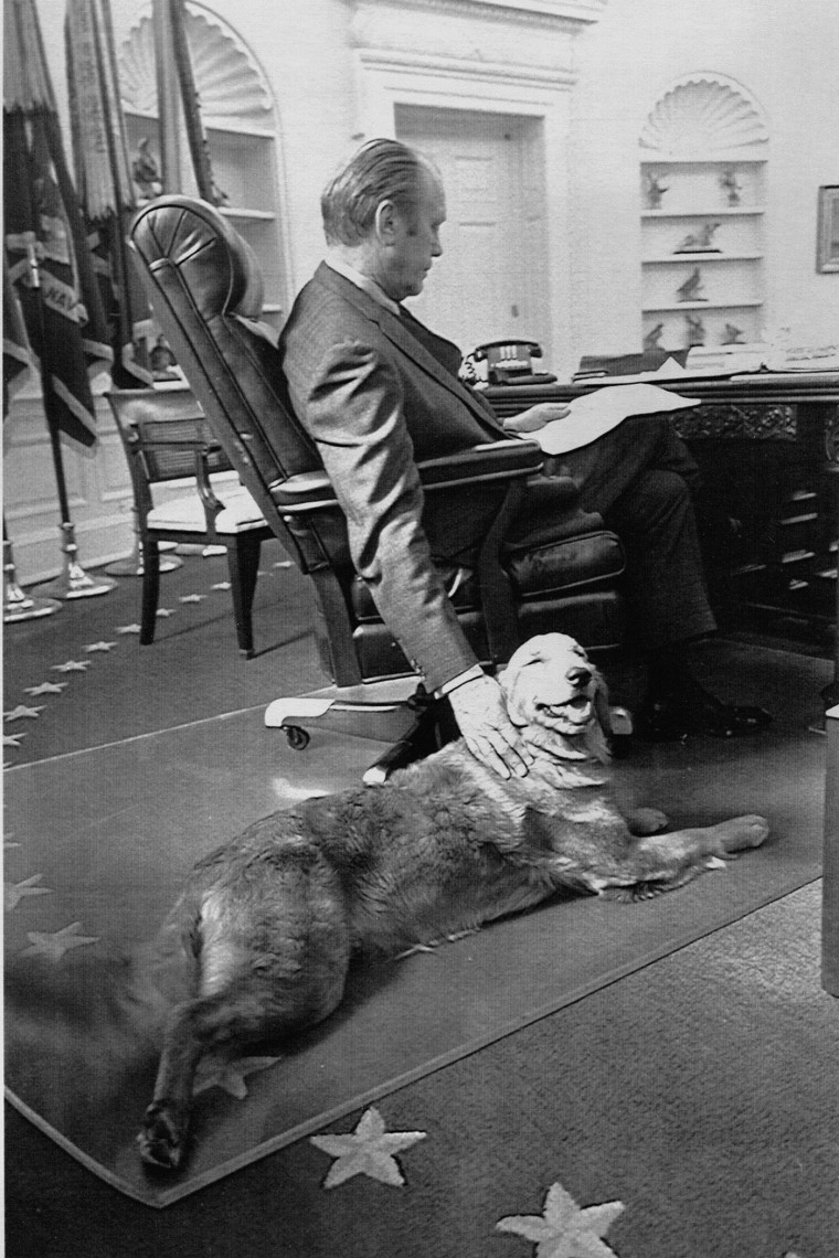 President Gerald R . Ford often sits with his dog Liberty in the Oval Office. (Photo by Gerald Ford Museum/AP)
