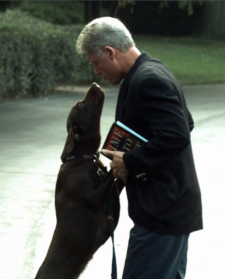 President Bill Clinton is greeted by his dog Buddy as he returns to the White House Wednesday morning, Aug. 12, 1998. (Photo by Ron Edmonds/AP)