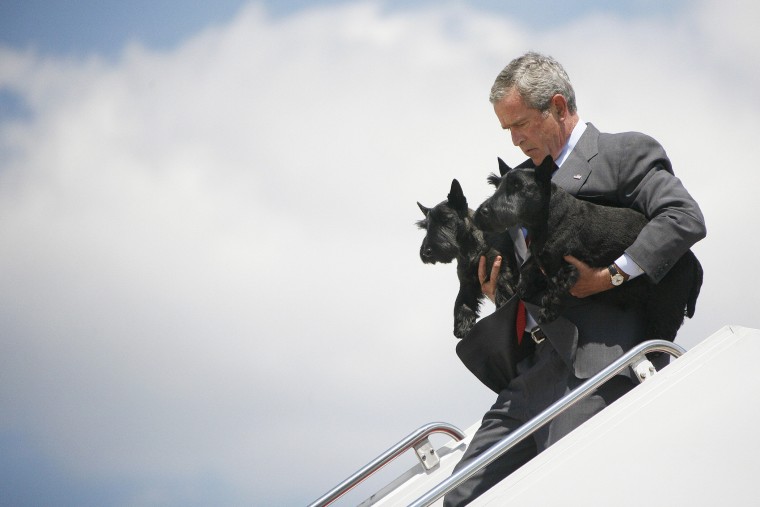 President George W. Bush walks off Air Force One carrying the family pets Barney (R) and Ms. Beazley as he arrives at Andrews Air Force Base, Md., Aug. 13, 2006. (Photo by Jim Watson/AFP/Getty)