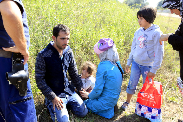 Hungarian policemen detain a Syrian migrant family after they entered Hungary at the border with Serbia, near Roszke, Hungary, Aug. 28, 2015. (Photo by Bernadett Szabo/Reuters)