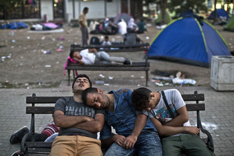 Migrants sleep on a bench at a park in Belgrade, Serbia, Aug. 28, 2015. (Photo by Marko Drobnjakovic/AP)