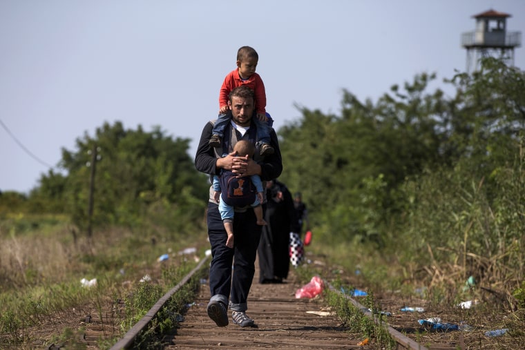 A Syrian migrant carries his children as he walks along a railway track to cross the Serbian border with Hungary near the village of Horgos, Aug. 27, 2015. (Photo by Marko Djurica/Reuters)