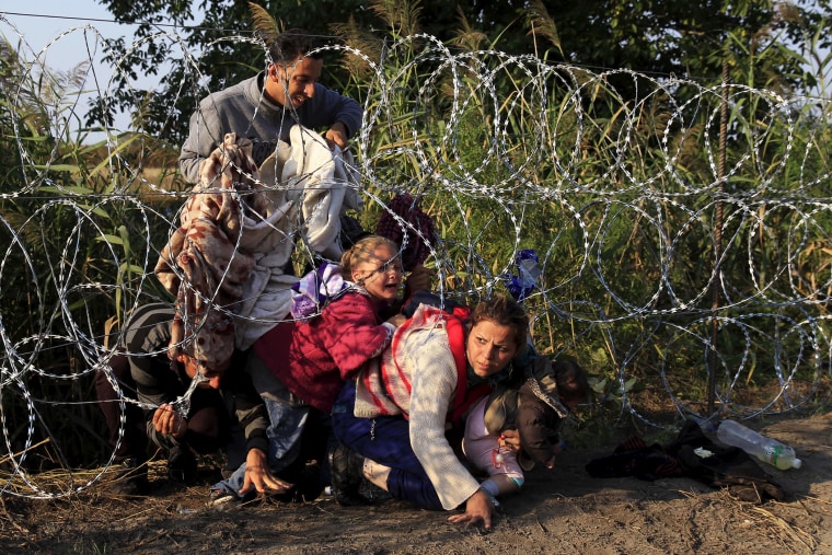 Syrian migrants cross under a fence as they enter Hungary at the border with Serbia, near Roszke, Aug. 27, 2015. (Photo by Bernadett Szabo/Reuters)