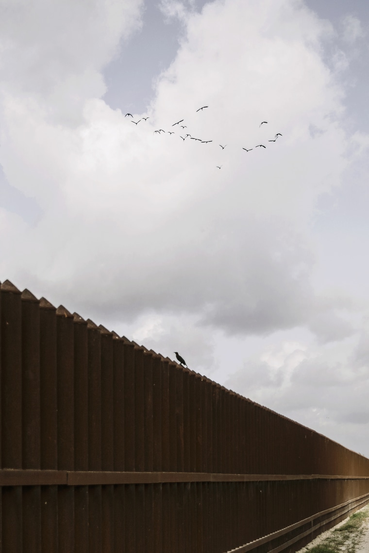 Birds traverse the border fence, which cuts through wildlife habitats in Hidalgo, Texas. (Photo by Bryan Schutmaat for MSNBC)