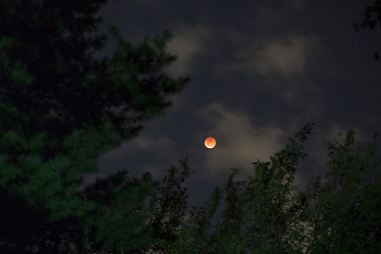 A supermoon rises above trees in Riverside, Conn., Sept. 27, 2015. (Photo by Andrees Latif/Reuters)