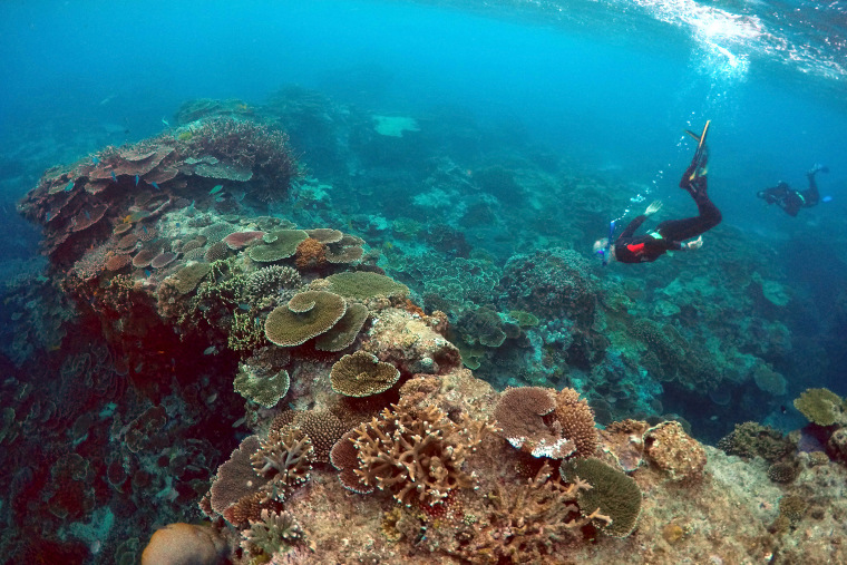 Senior rangers in the Great Barrier Reef region are seen during an inspection of the reef's condition. (Photo by David Gray/Reuters)
