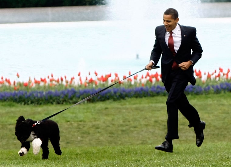 President Barack Obama walks his new Portuguese water dog Bo on the South Lawn of the White House April 14, 2009 in Washington, D.C. (Photo by Win McNamee/Getty)