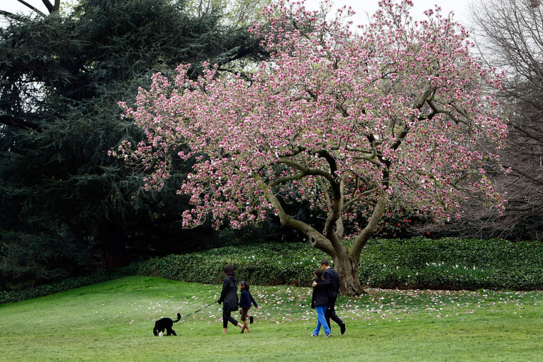 President Barack Obama (R), First Lady Michelle (L) and their daughters, Sasha (2nd L) and Malia (3rd L), introduce their new dog, a Portuguese water dog named Bo, to the White House press corps at the South Lawn of the White House April 14, 2009 in Washi
